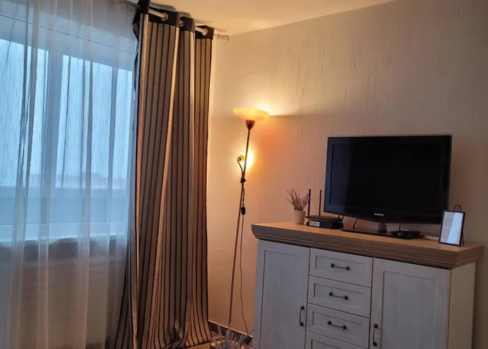 Giedres Kalnieciu Apartments 1
