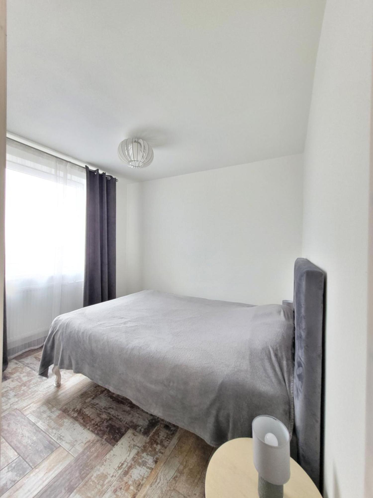 Apartment Giedres Kalnieciu Apartments 1 *